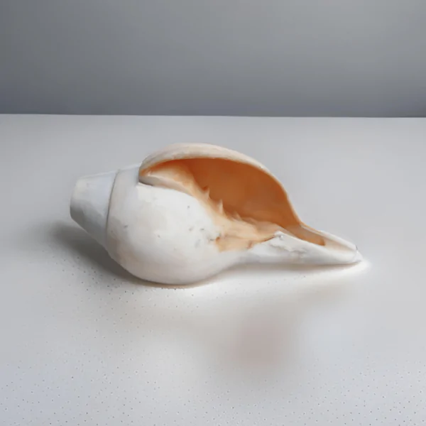 Modern Design Sankh
