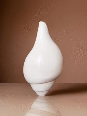 Simple Design Pure White Sankh (1)