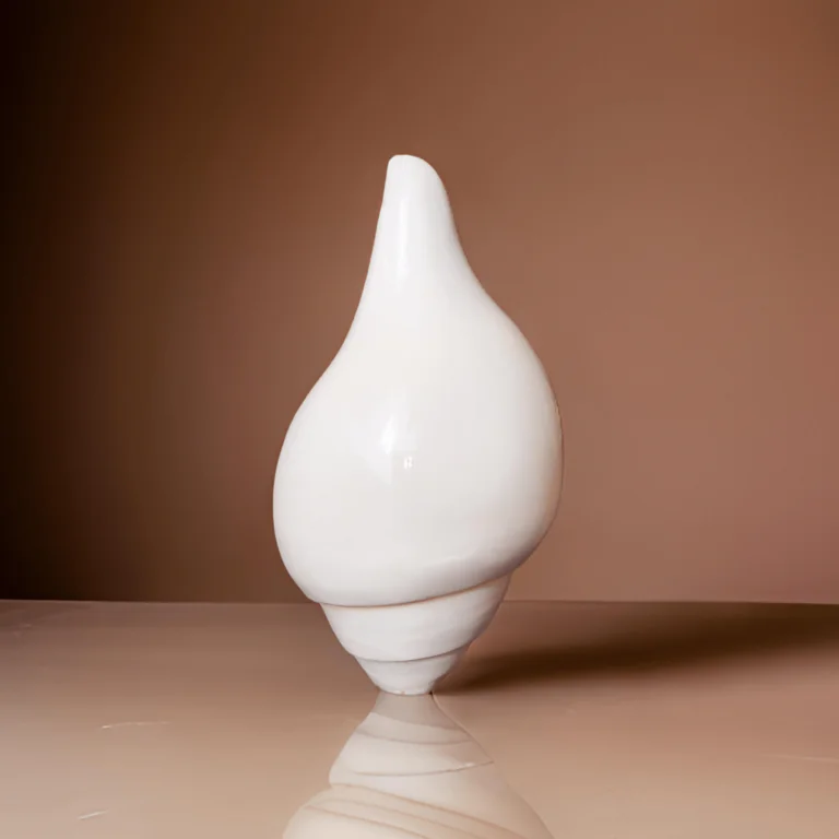 Simple Design Pure White Sankh